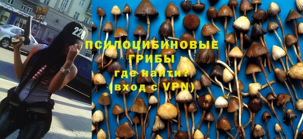 марки lsd Богородицк