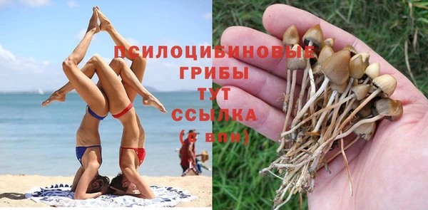 марки lsd Богородицк